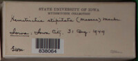 Image Associated With the Occurence